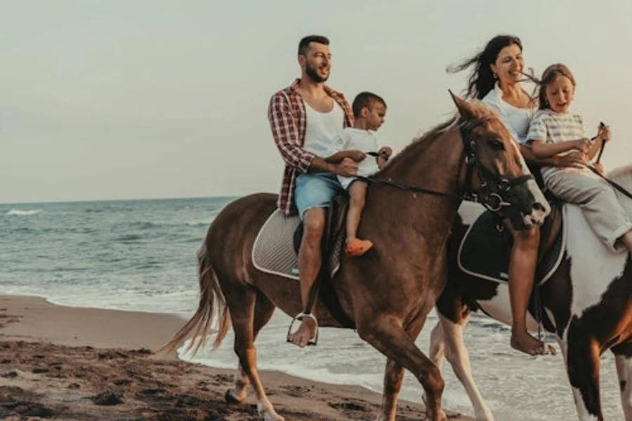 Horse Riding Tour: Sea and Desert with Transfer - Hurghada, Hurghada