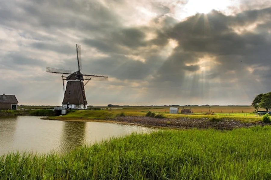 Lisse: Windmill Cruise from Warmond, Lisse