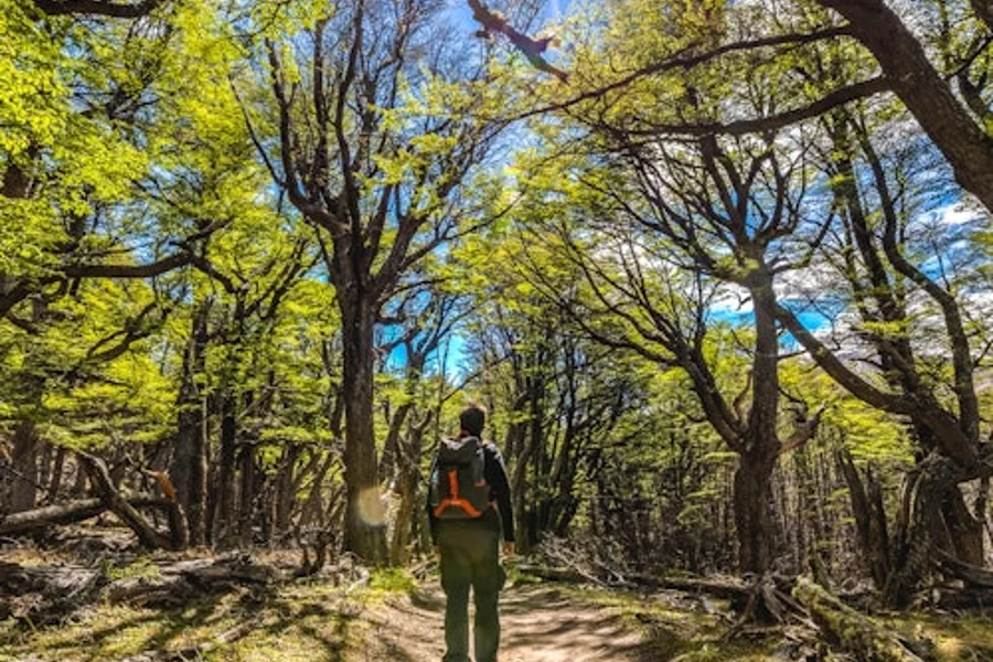 艾爾查爾滕:全日導遊之旅 + 雙程接送 + 午餐, at Day Trips from El Calafate, El Calafate