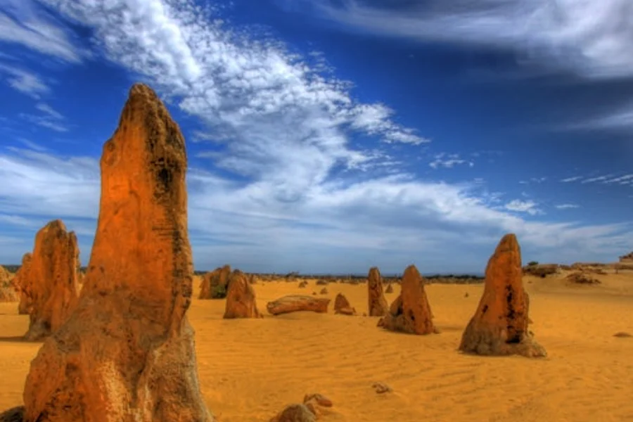 Pinnacles Desert & Caversham Wildlife Park: Tour + Sand Boarding + 4WD Adventure, Burswood