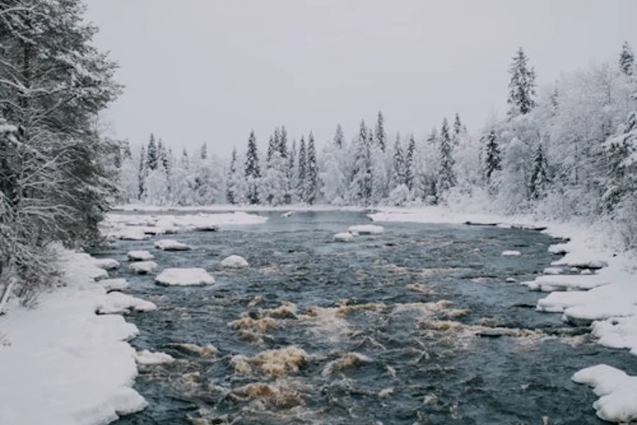 在維卡孔加斯健行, Rovaniemi