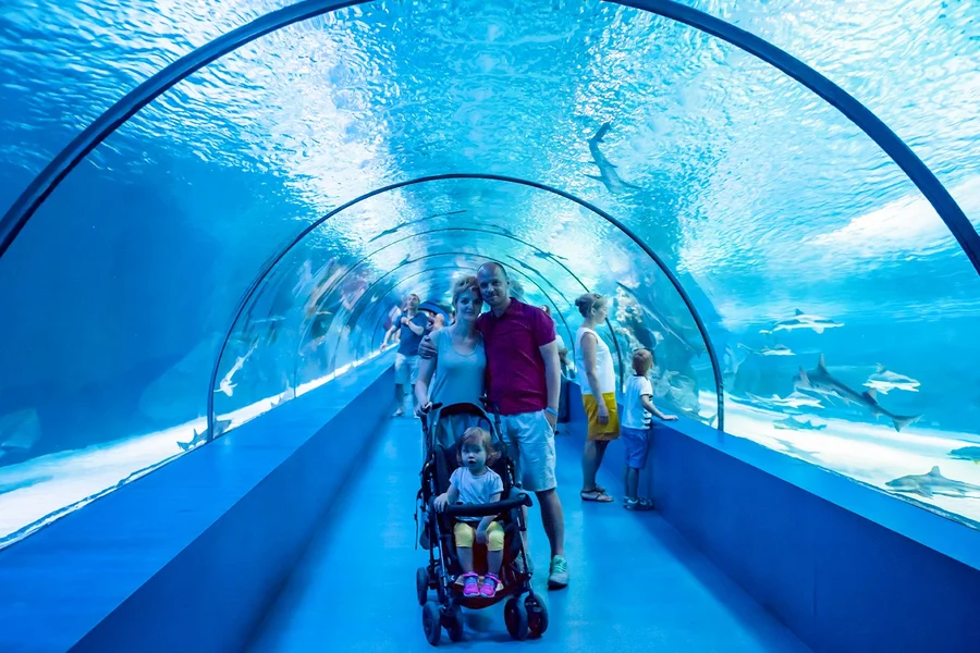 Barcelona Aquarium Skip-the-Line Tickets, Barcelona