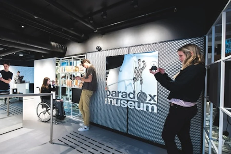 Paradox Museum Oslo: Inngangsbillett, Oslo