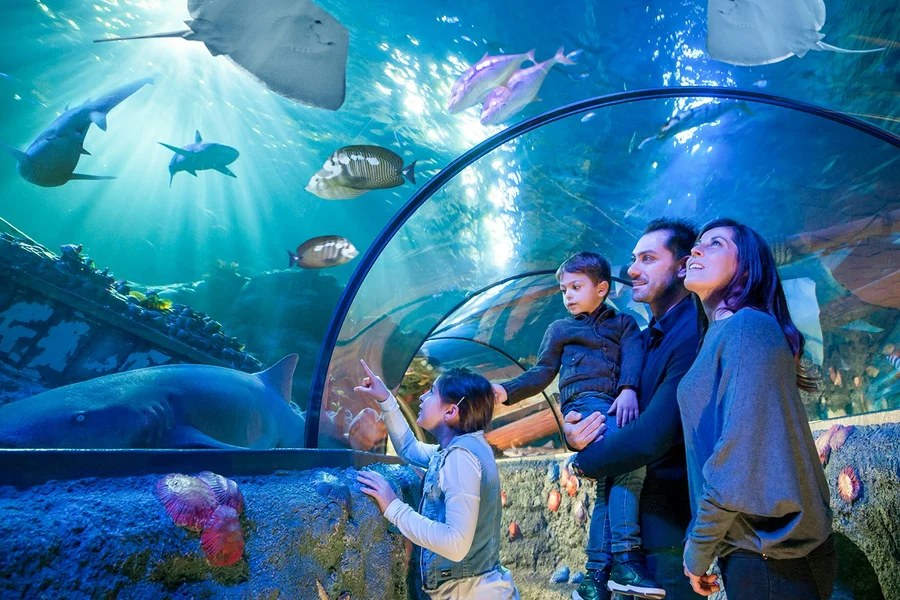 Gardaland Sea Life Aquarium Entry Tickets, at Gardaland SEA LIFE Aquarium, Verona