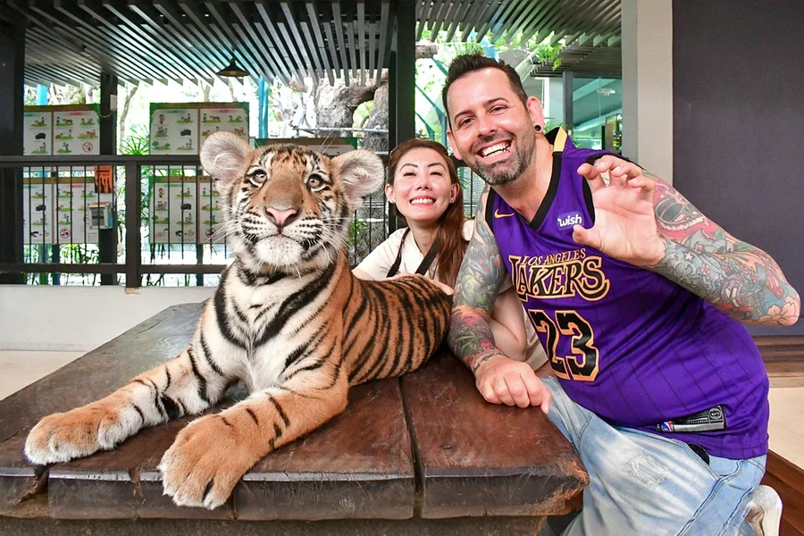 Tiger Park Tickets: Non-Thai Residents, Pattaya