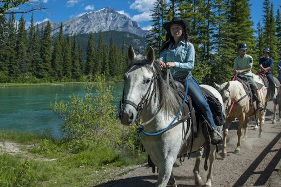 Bow River Horseback Ride from Banff, Banff
