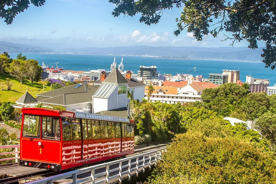Half-Day Small-Group Guided Tour of Wellington Highlights, Wellington