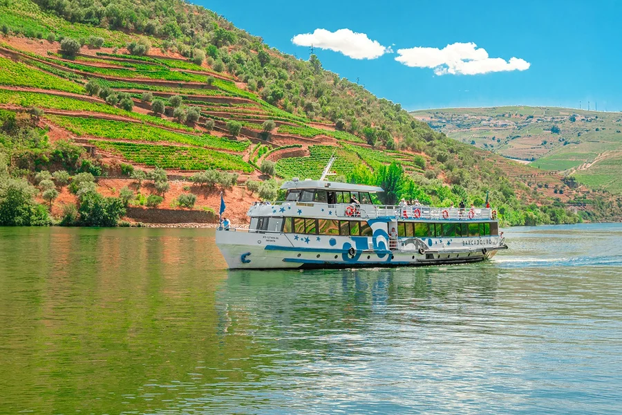 Full Day River Cruise to Douro Valley with Meals and Return Transfer, at Porto São Bento, Porto