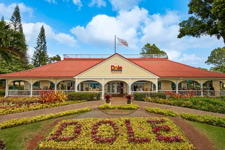 Tour di Mezza Giornata dell'Isola di Oahu Grand Circle, Hawaii