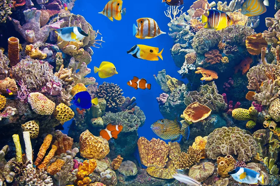Barcelona Aquarium: Flexi-Ticket, Barcelona