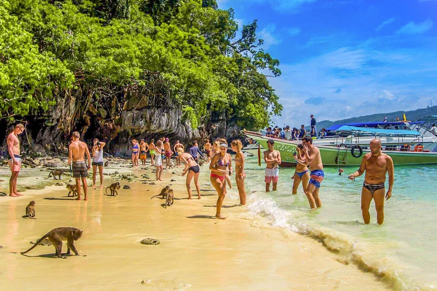 من فاي فاي: جولة جماعية إلى خليج مايا مع الغوص السطحي بواسطة قارب ذيل طويل, at Marlin Statue, Phuket