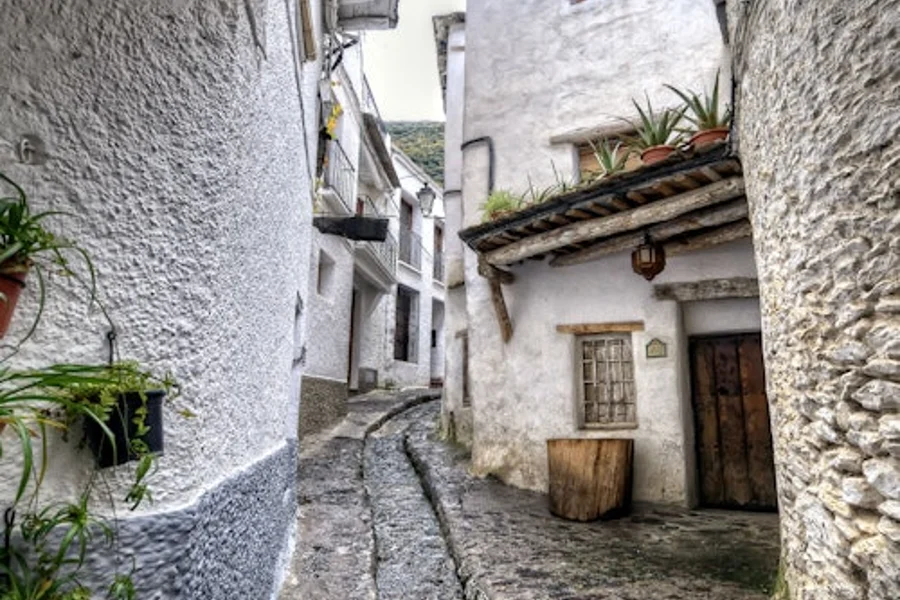 Alpujarrat: Opastettu kierros Granadasta, Granada