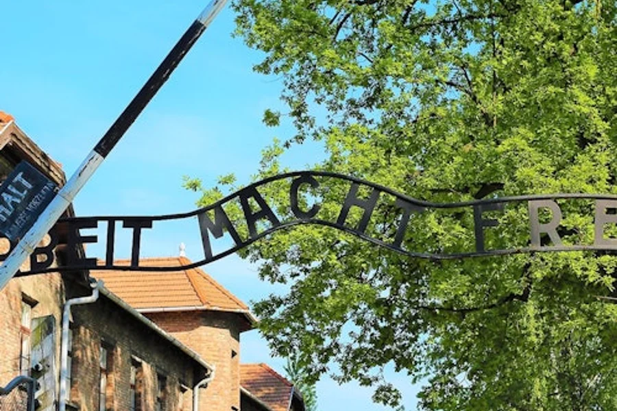 Auschwitz-Birkenau: Guided Tour + Transport + Lunch, Krakow
