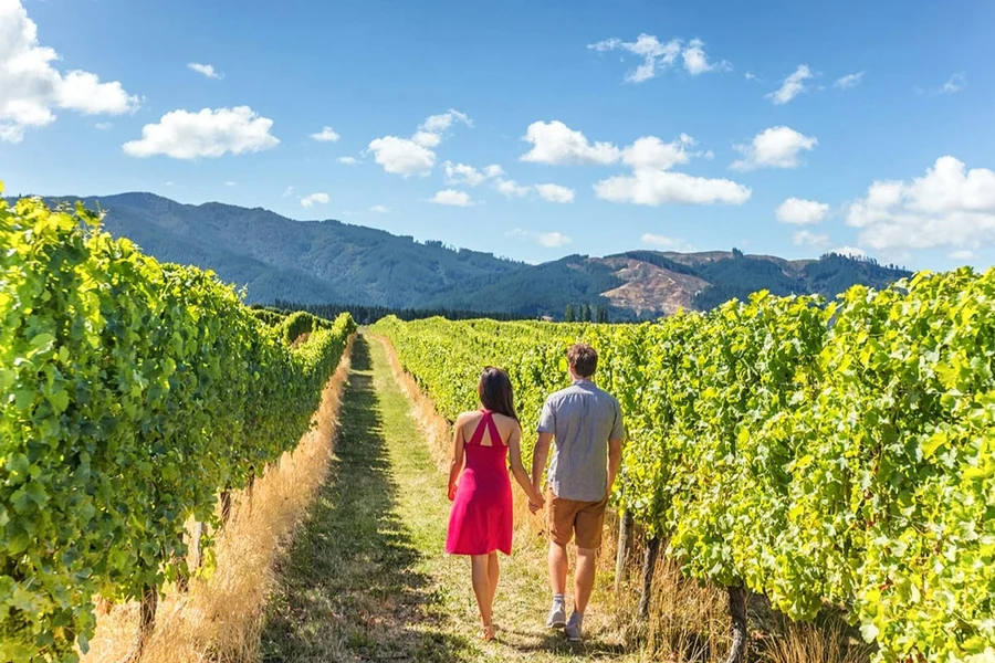 From San Francisco: Alcatraz, Aquarium of the Bay, & Napa/Sonoma Wine Country 2-Day Trip, San Francisco