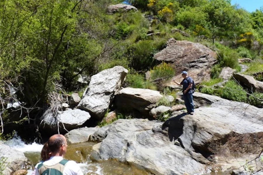 Sierra Nevada: Guided Tour from Granada, Granada