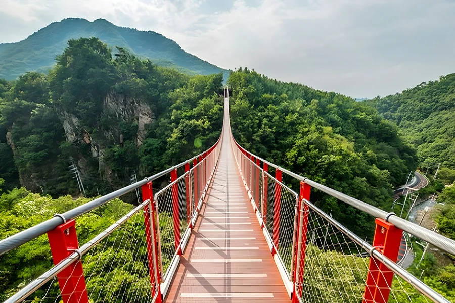 DMZ Full-Day Tour with Suspension Bridge Visit, Seoul