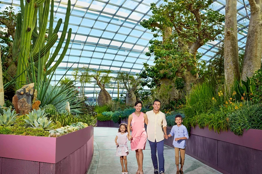 Go City Singapore Explorer Pass: Choose 2 to 7 Attractions, Singapore