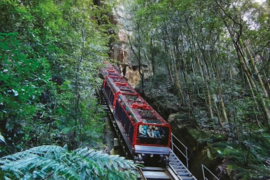 蓝山:旋转世界入场券+悉尼港游船, Sydney