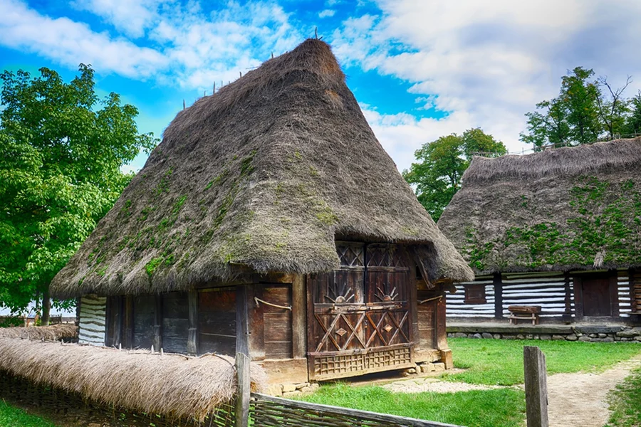Private Sightseeing Tour of Bucharest With Village Museum Included, Bucharest