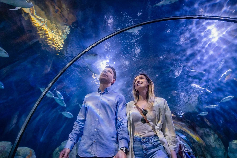 Combo: Oceanogràfic + Science Museum + Hemisfèric Tickets, Valencia