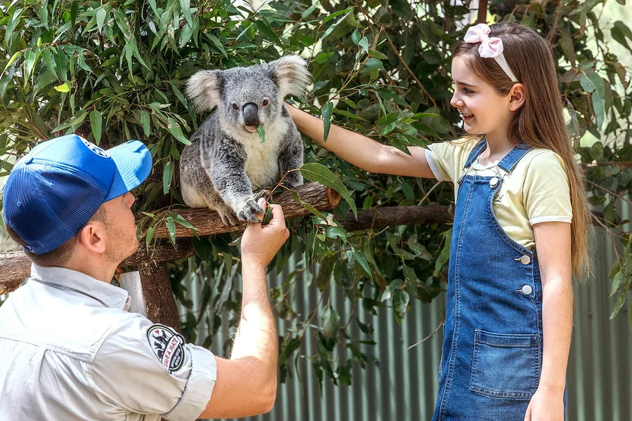 Tickets to Paradise Country, Gold Coast