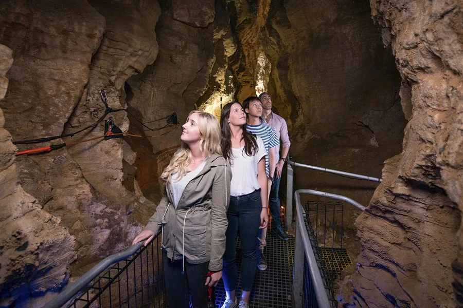 Ruakuri Cave Guided Tour, Waitomo