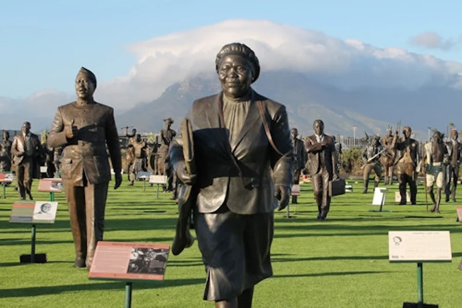The Long March to Freedom: Entry Ticket, Cape Town