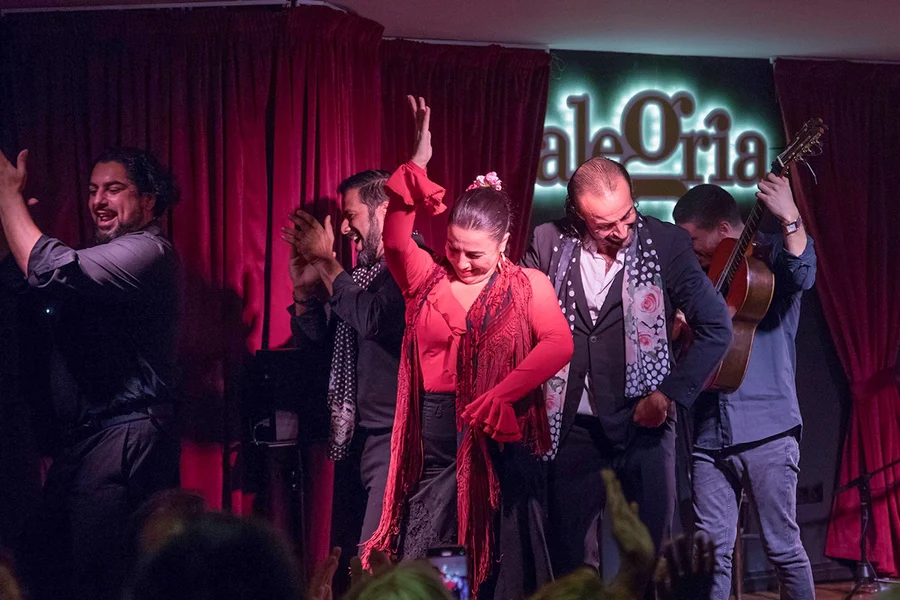 Alegría - Flamenco Show, Malaga