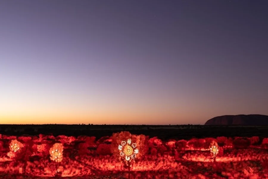 Uluru: Sunrise Tour + Transfers + Audio Guide + Breakfast, Yulara