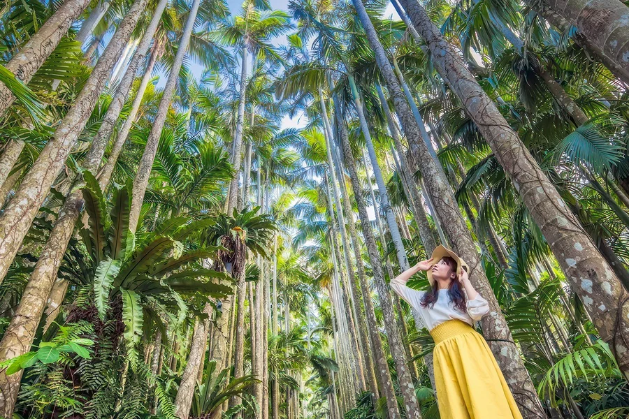 Tickets to Southeast Botanical Gardens, Okinawa