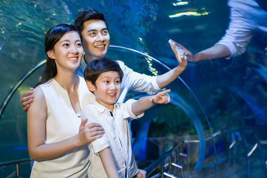 SEA LIFE COEX, Seoul Aquarium Tickets, Seoul