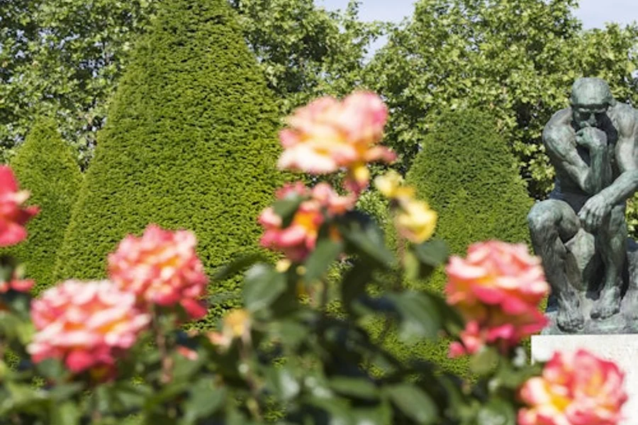 Musée Rodin: Skip The Line, Paris