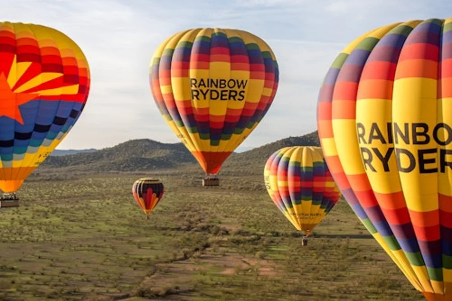 Phoenix: Guided Sunrise Hot Air Balloon Ride, Phoenix