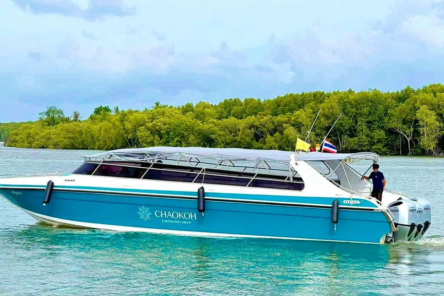 From Phi Phi: Maya Bay Speedboat Tour with Snorkeling, Phuket