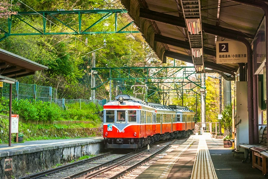Hakone & Kamakura 3-Day Transportation Pass, Tokyo