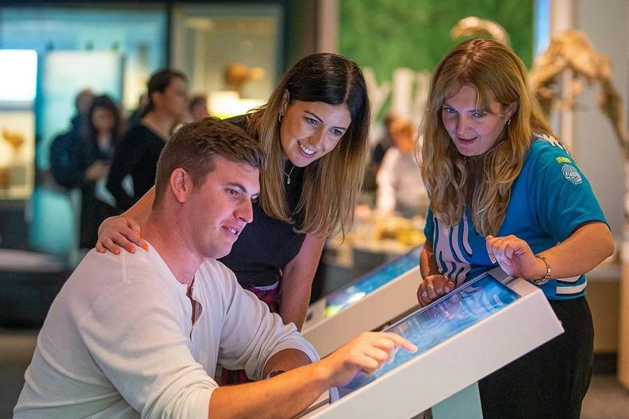 Early Bird Entry Tickets to Gallipoli Exhibition at Te Papa Tongarewa Museum, Wellington