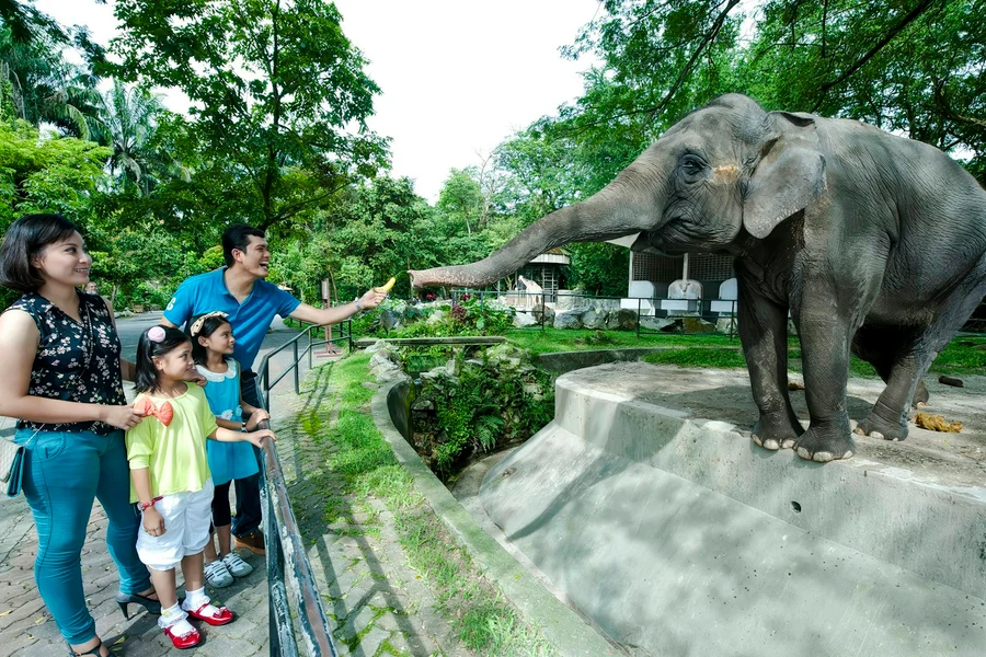 Zoo Negara & Panda Conservation Centre Tickets, Kuala Lumpur