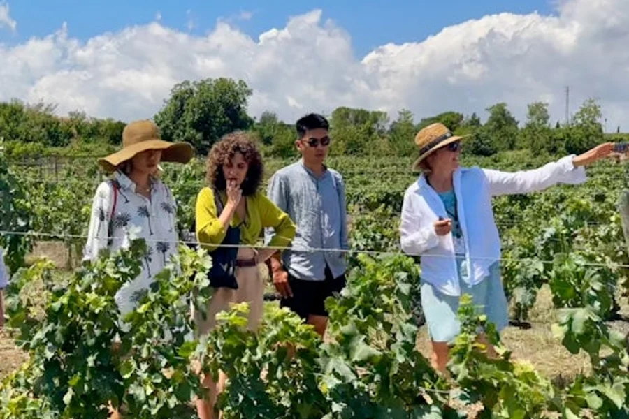 Penedès: Half-Day Guided Tour from Barcelona + Brunch + Wine Tasting, Barcelona