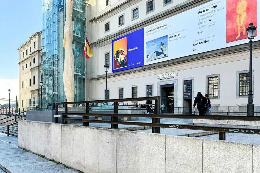 Reina Sofia Museum Guided Tour, Madrid