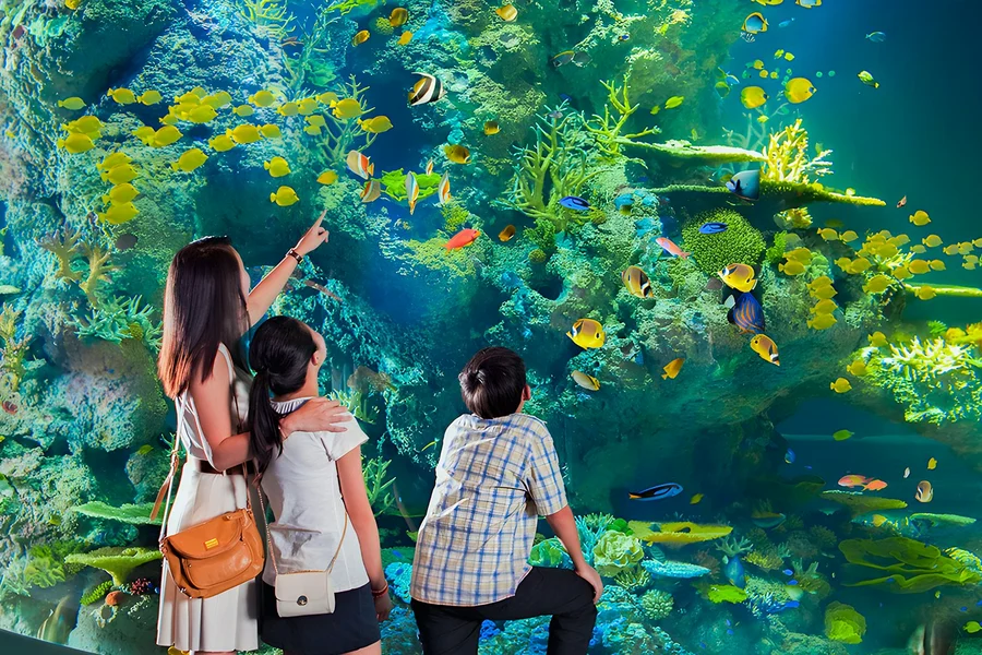 Singapore Oceanarium Tickets, Singapore