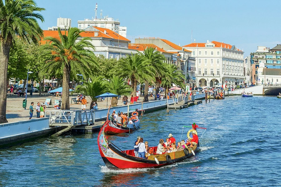 Aveiro Half-Day Guided Tour with Moliceiro Cruise, Porto
