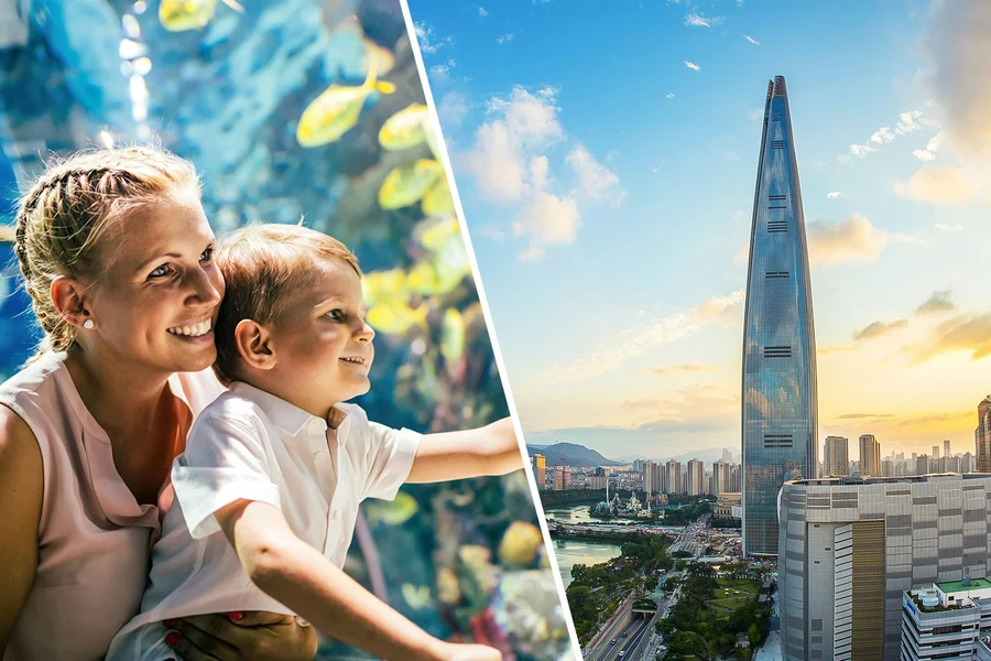 Combo (Save 38%): Lotte World and Aquarium + Seoul Sky Observatory Tickets, Seoul