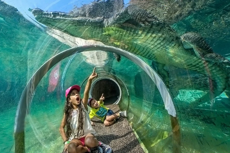 Zoo Miami Tickets: Groups of 4 And More, at Zoo Miami, Miami