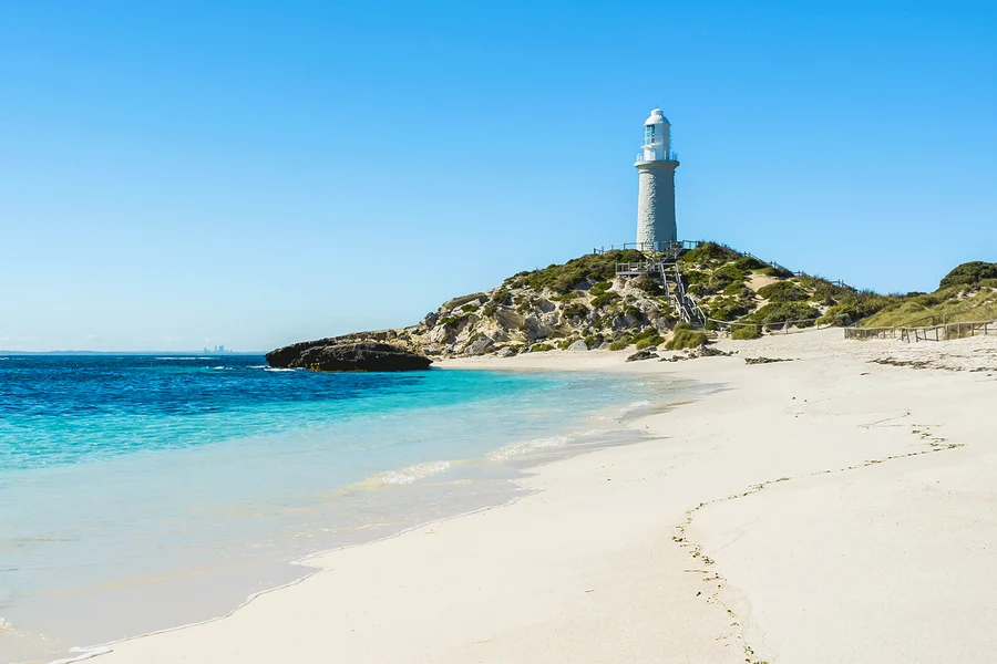 From Hillarys: Rottnest Island Return Ferry, Perth