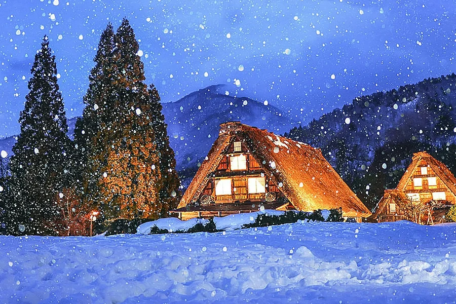 1-Day Guided Tour of Shiragawa-go and Takayama from Nagoya, Nagoya