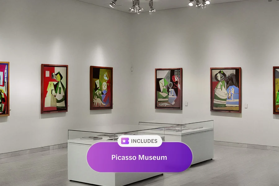 Articket Passport: Pasok sa 6 na Museo na may Siguradong Slot sa Museo ng Picasso, at Barcelona, Spain, Barcelona