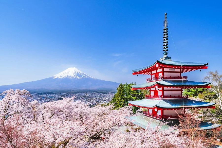 Mount Fuji Highlights Tour: Chureito Pagoda, Lake Kawaguchi, Oshino Hakkai, & More, at Tokyo, Japan, Tokyo