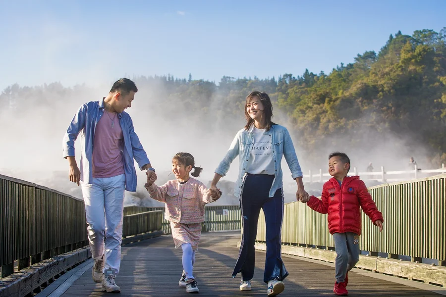 From Auckland: Hobbiton & Te Puia Tour with Festive Lunch & Hangi Dinner Buffet, Auckland