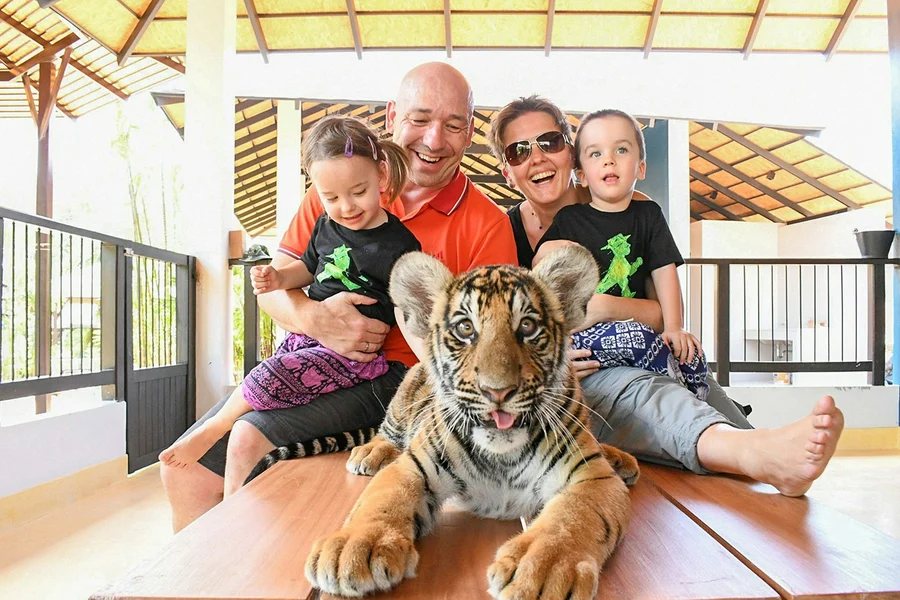 Tiger Park Tickets, Phuket