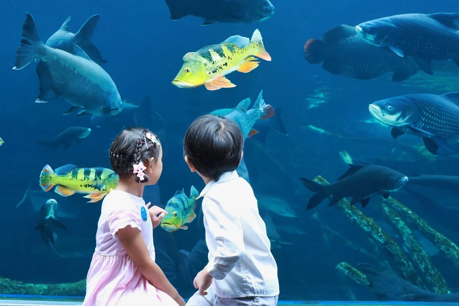 Aquaria Phuket Tickets: Non-Thai Residents, Phuket